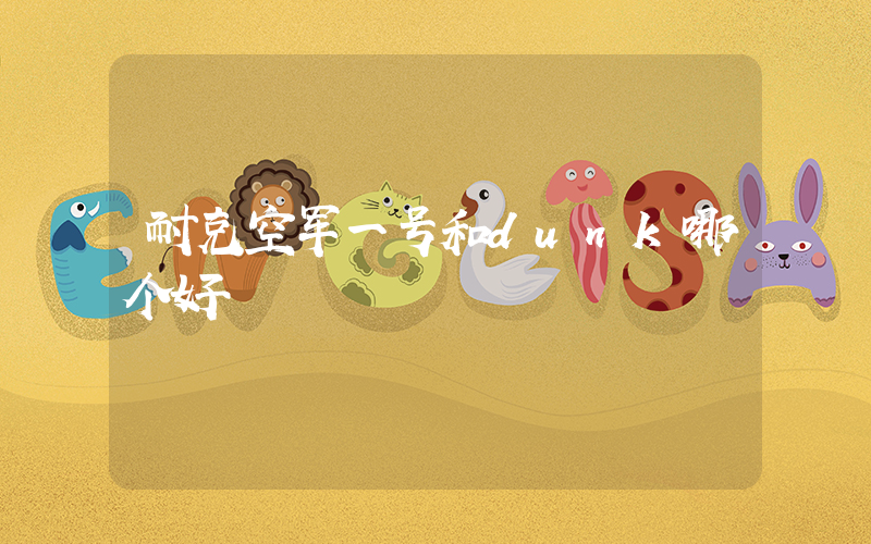 耐克空军一号和dunk哪个好插图