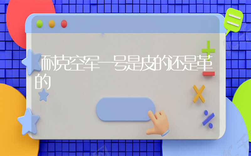 耐克空军一号是皮的还是革的插图
