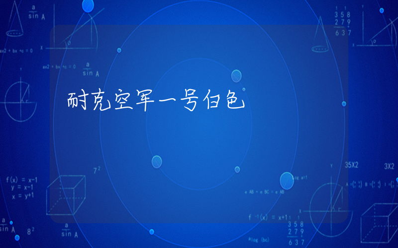 耐克空军一号白色插图