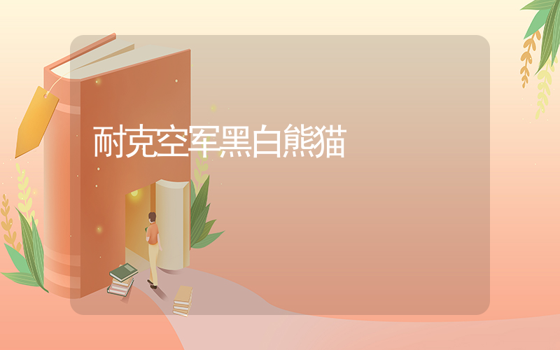 耐克空军黑白熊猫插图