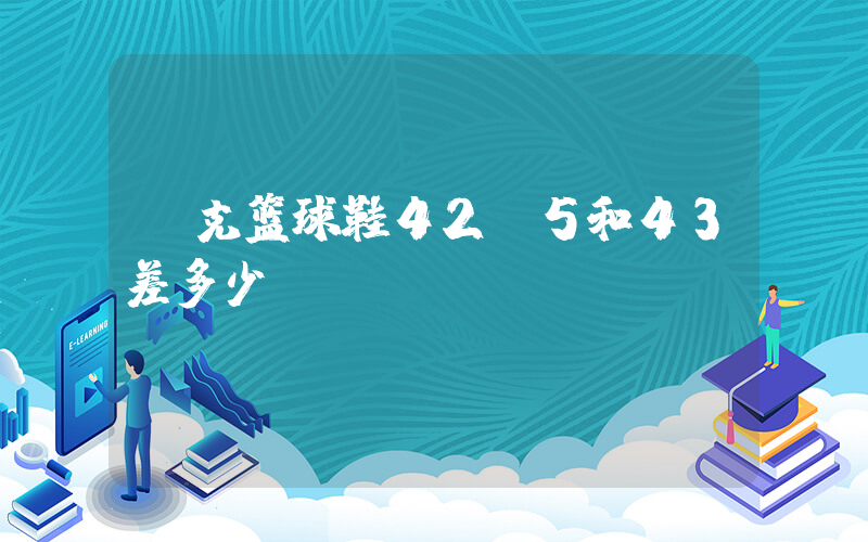 耐克篮球鞋42.5和43差多少？插图