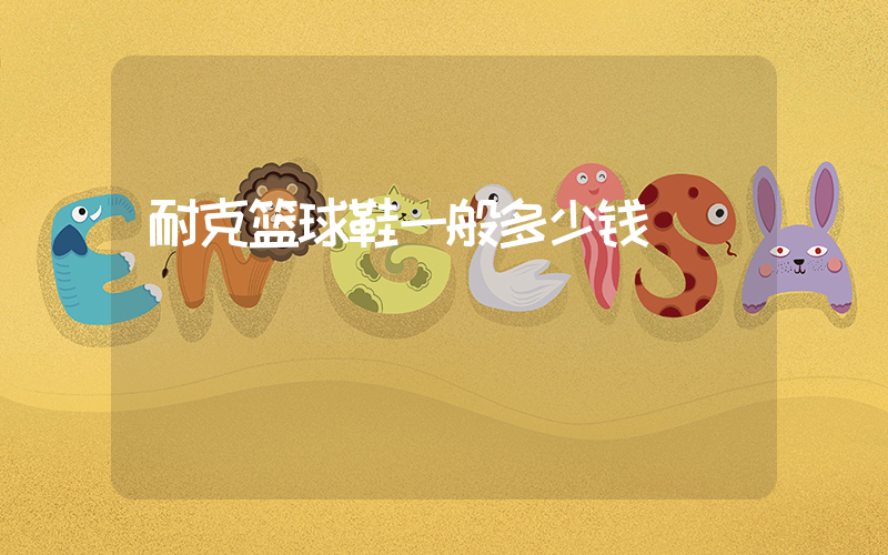 耐克篮球鞋一般多少钱插图