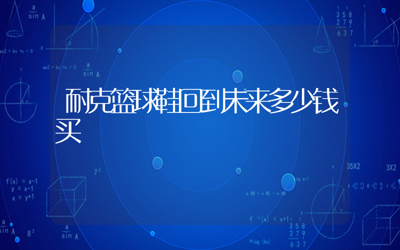耐克篮球鞋回到未来多少钱买插图