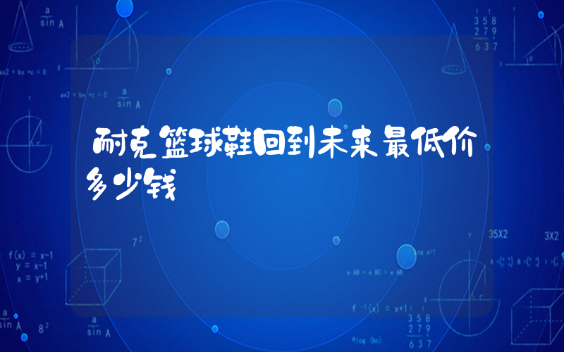 耐克篮球鞋回到未来最低价多少钱插图