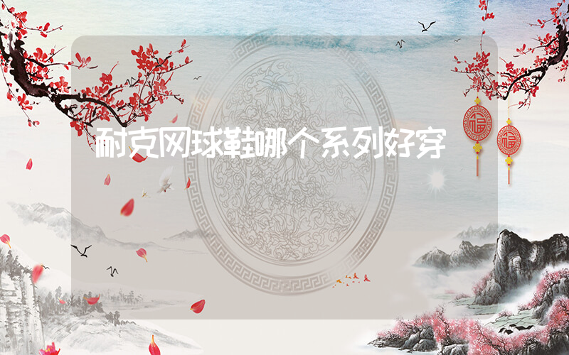 耐克网球鞋哪个系列好穿插图