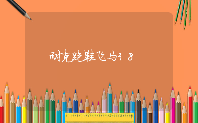 耐克跑鞋飞马38插图