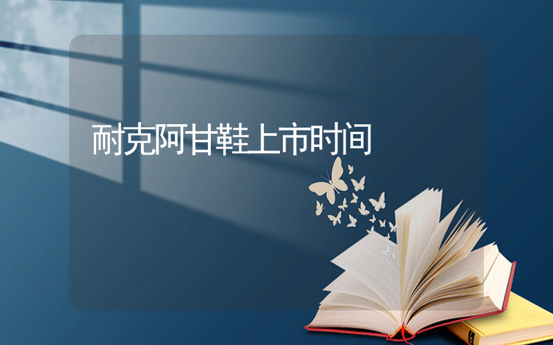 耐克阿甘鞋上市时间插图