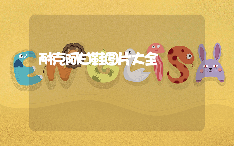 耐克阿甘鞋图片大全插图