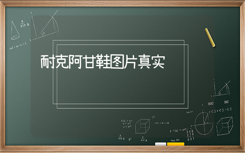 耐克阿甘鞋图片真实插图