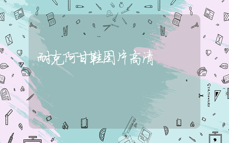 耐克阿甘鞋图片高清插图