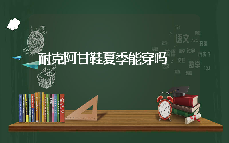 耐克阿甘鞋夏季能穿吗插图