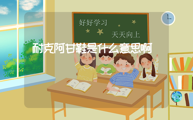 耐克阿甘鞋是什么意思啊插图