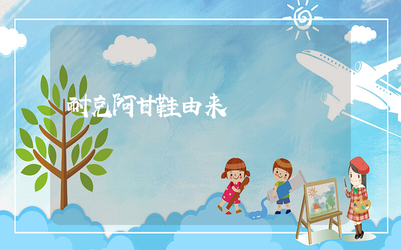 耐克阿甘鞋由来插图
