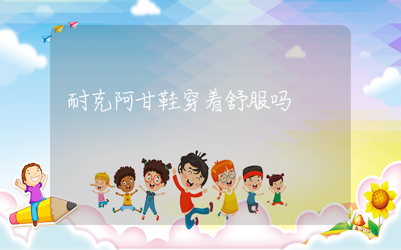 耐克阿甘鞋穿着舒服吗插图