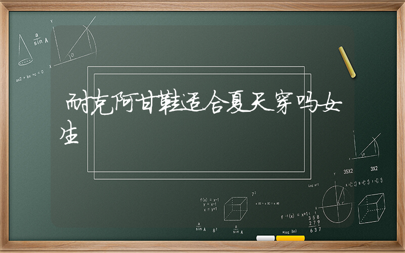 耐克阿甘鞋适合夏天穿吗女生插图