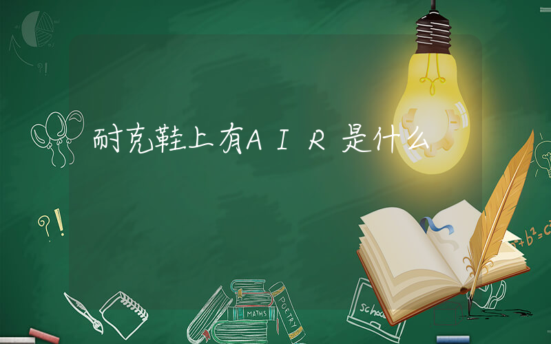 耐克鞋上有AIR是什么插图