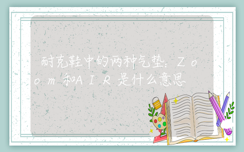 耐克鞋中的两种气垫：Zoom和AIR是什么意思插图