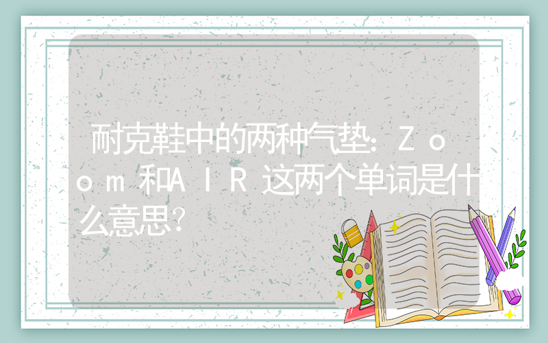 耐克鞋中的两种气垫：Zoom和AIR这两个单词是什么意思？插图