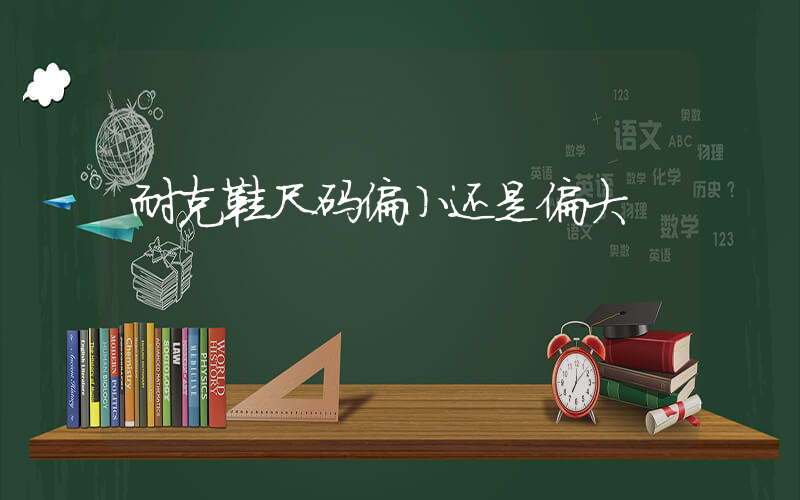 耐克鞋尺码偏小还是偏大插图