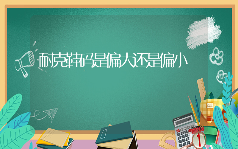 耐克鞋码是偏大还是偏小插图