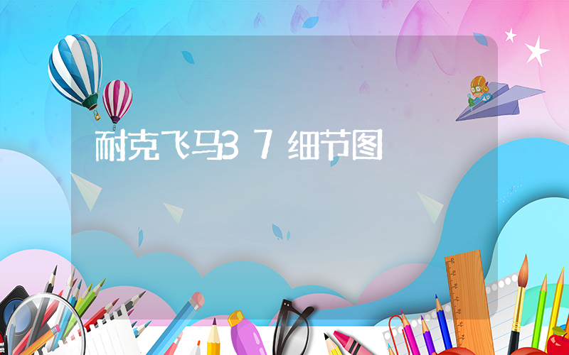 耐克飞马37细节图插图