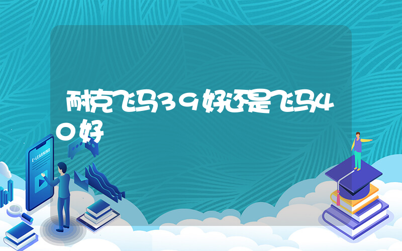 耐克飞马39好还是飞马40好插图