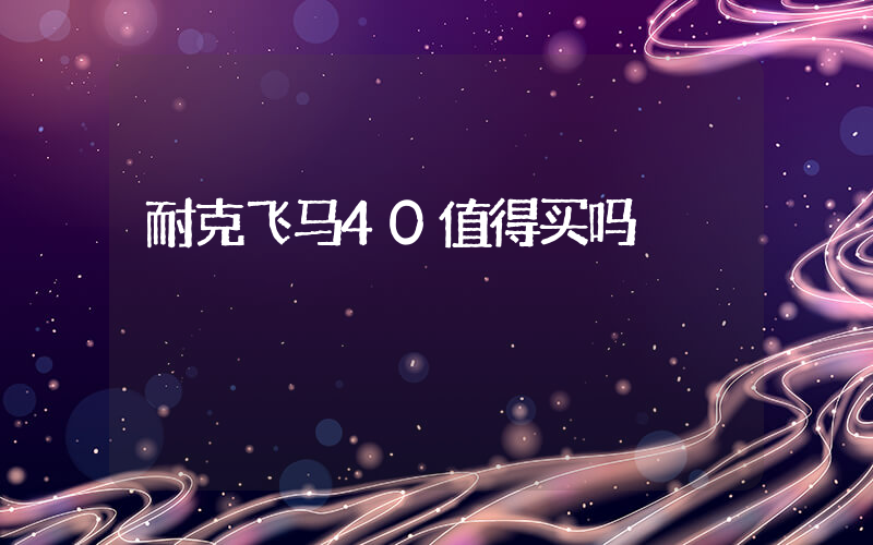 耐克飞马40值得买吗插图