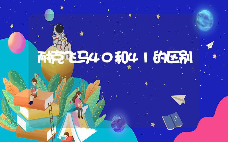 耐克飞马40和41的区别插图