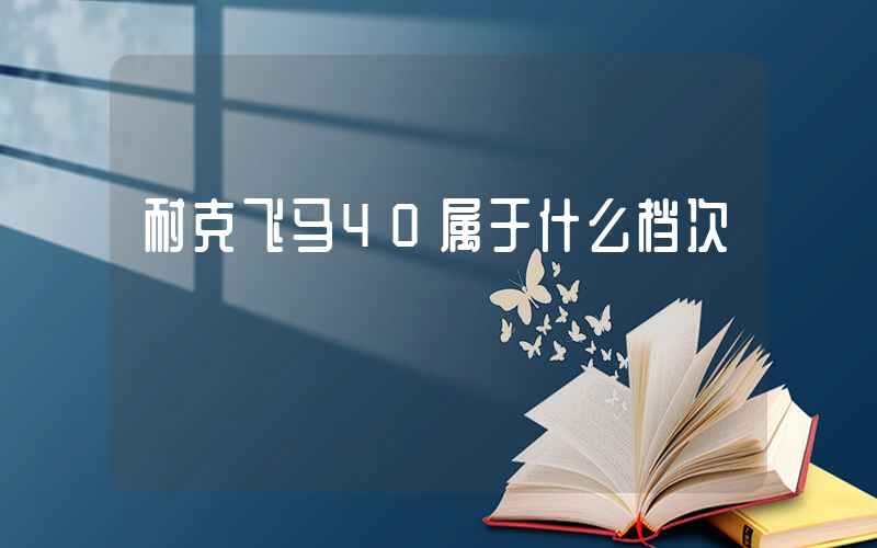 耐克飞马40属于什么档次插图