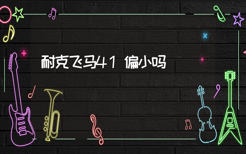 耐克飞马41偏小吗插图