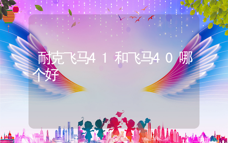 耐克飞马41和飞马40哪个好插图