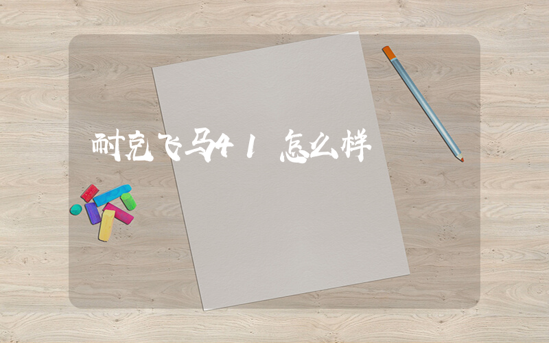 耐克飞马41怎么样插图