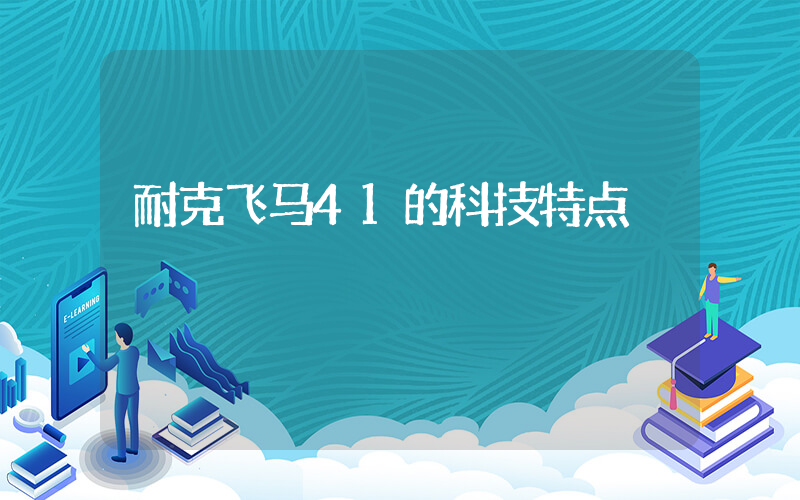 耐克飞马41的科技特点插图