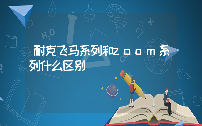 耐克飞马系列和zoom系列什么区别插图