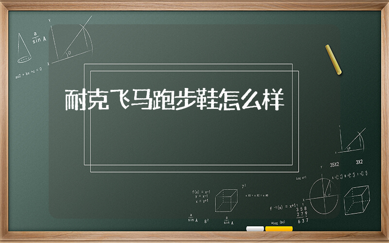 耐克飞马跑步鞋怎么样插图
