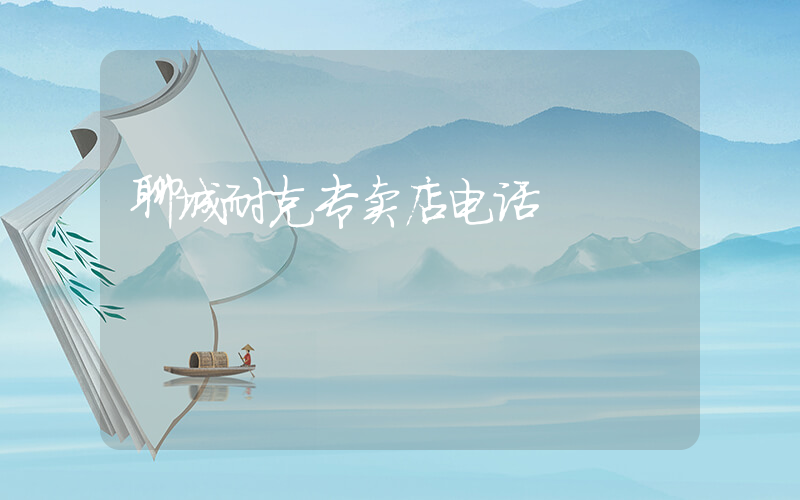聊城耐克专卖店电话插图