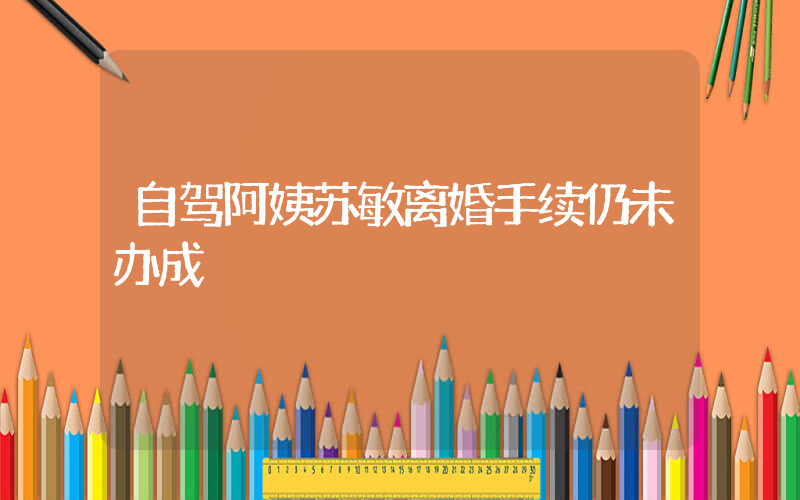 自驾阿姨苏敏离婚手续仍未办成插图