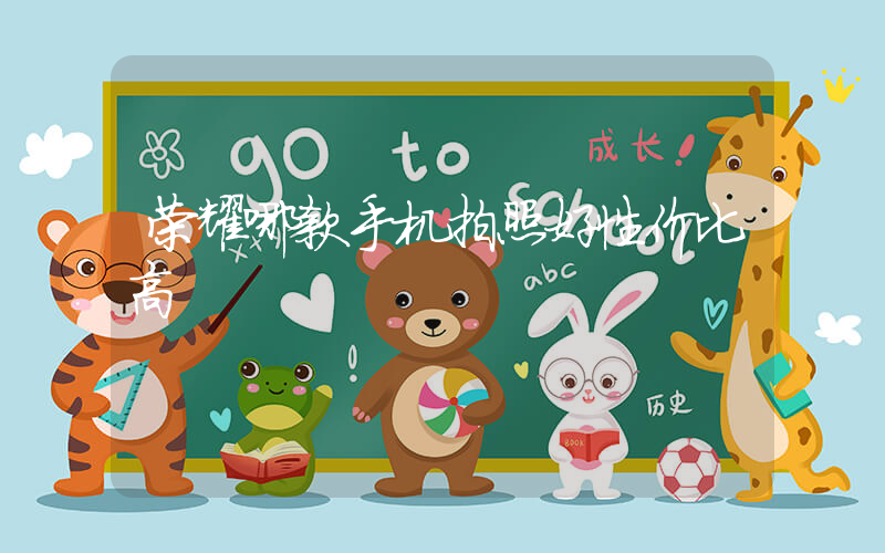 荣耀哪款手机拍照好性价比高插图