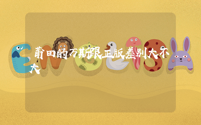 莆田的万斯跟正版差别大不大插图