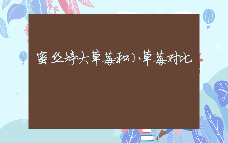 蜜丝婷大草莓和小草莓对比插图