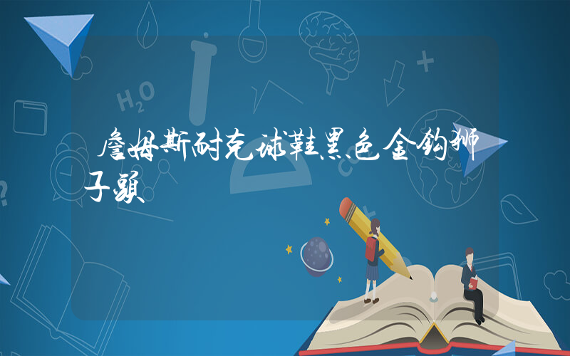 詹姆斯耐克球鞋黑色金钩狮子头插图