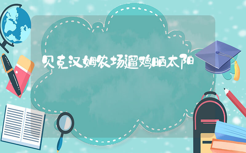 贝克汉姆农场遛鸡晒太阳插图
