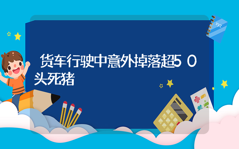 货车行驶中意外掉落超50头死猪插图