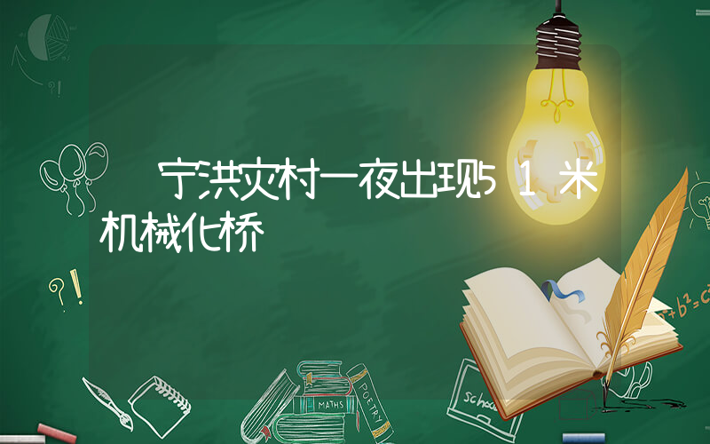 辽宁洪灾村一夜出现51米机械化桥插图 辽宁洪灾村一夜出现51米机械化桥插图
