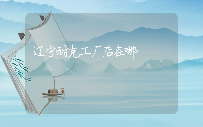 辽宁耐克工厂店在哪插图