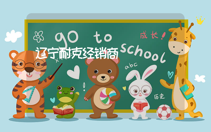 辽宁耐克经销商插图