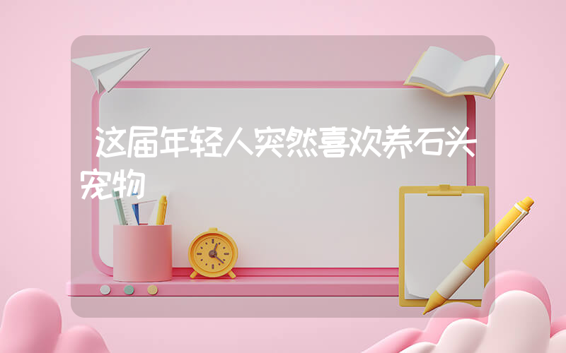 这届年轻人突然喜欢养石头宠物插图