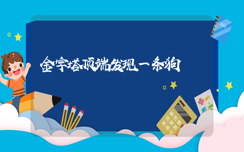 金字塔顶端发现一条狗插图