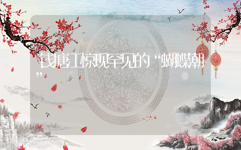 钱塘江惊现罕见的“蝴蝶潮”插图