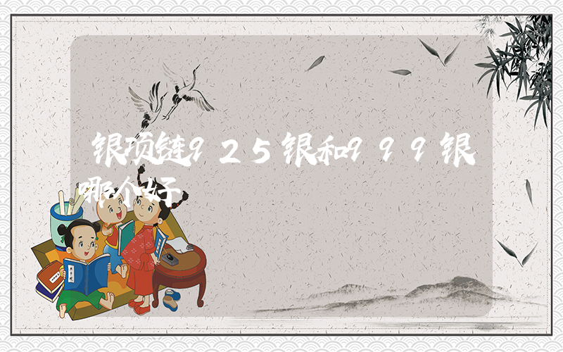 银项链925银和999银哪个好插图 银项链925银和999银哪个好插图